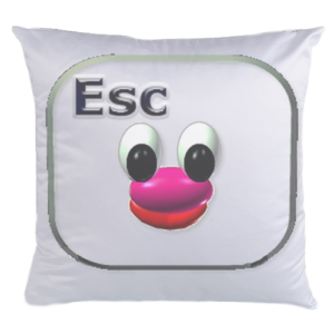 Pillow Application