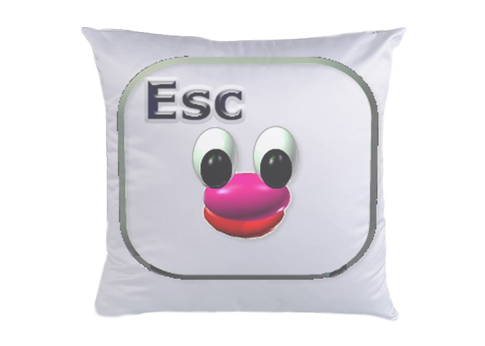 Pillow Application